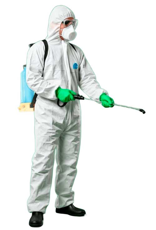 Especialista en fumigacion y control de plagas
