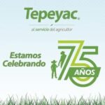 Tepeyac